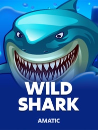 Wild Shark
